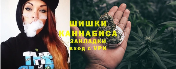 Альфа ПВП Белокуриха