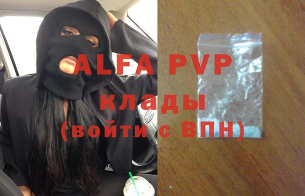 Альфа ПВП Белокуриха
