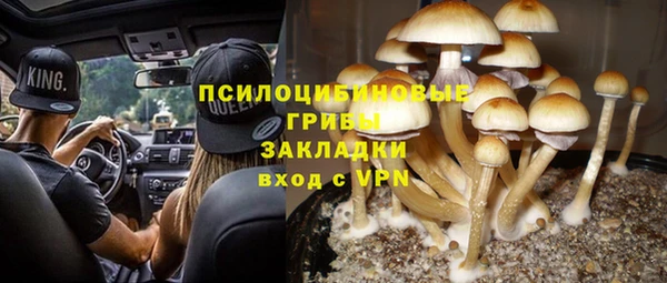 гашик Беломорск