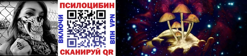 Псилоцибиновые грибы Magic Shrooms  Купить закладки  Николаевск 
