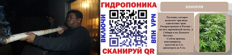 МАРИХУАНА OG Kush  Купить закладки  Николаевск 